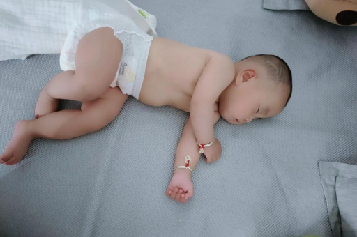 五指山宝宝不吃饭什么原因